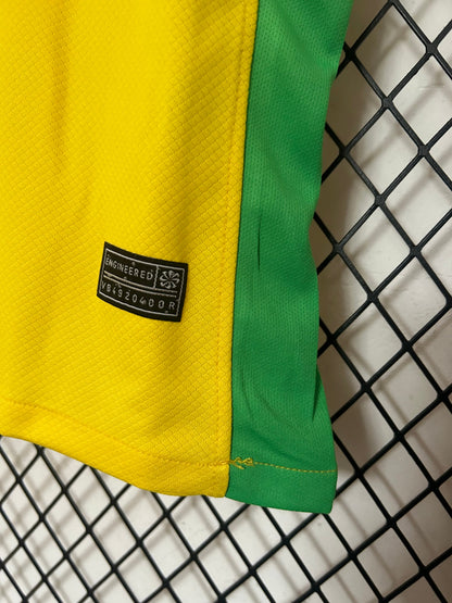 Jersey Woman Brazil l 25/26 Nike - Yellow